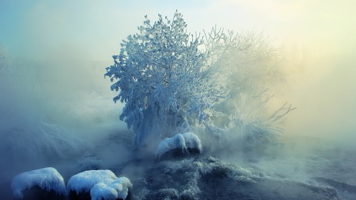 梅须逊雪三分白 唯美自然雪景电脑壁纸图片