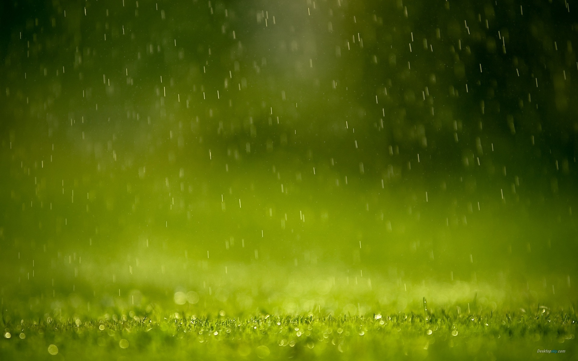 下雨了，我来给你送伞图片