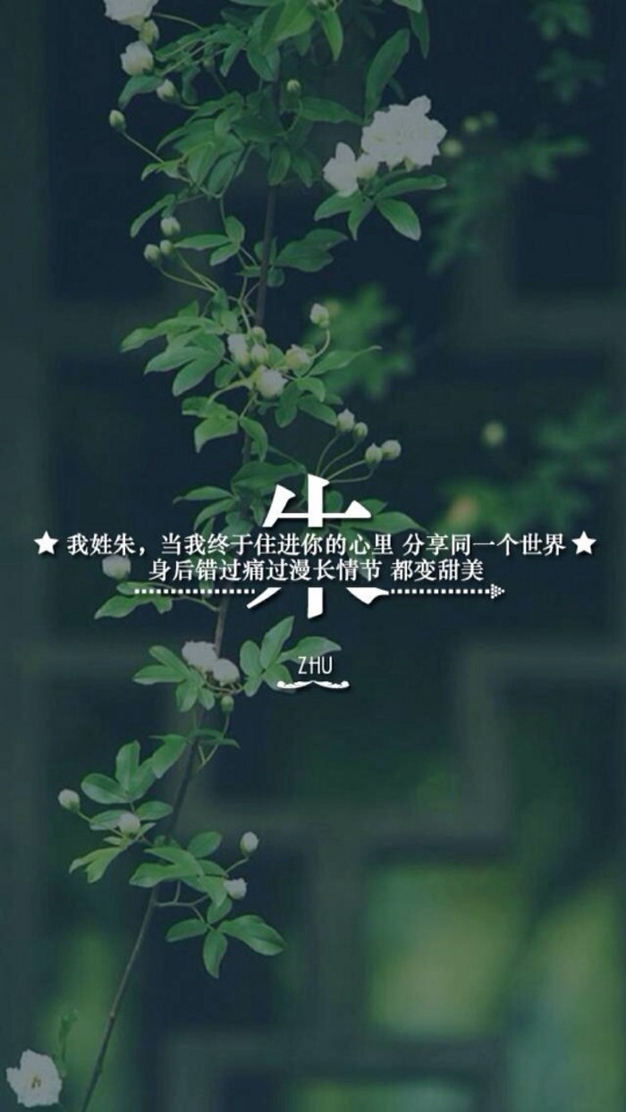 我姓吴，却无法成为你的天下无双图片