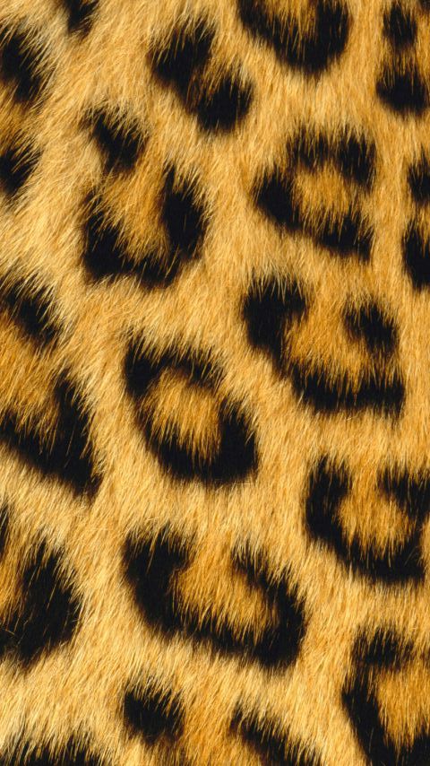 豹纹控的最爱 豹纹壁纸 480x854