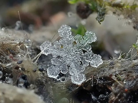 圣诞雪花系列480*360手机壁纸下载