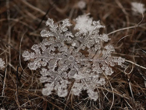 圣诞雪花系列480*360手机壁纸下载