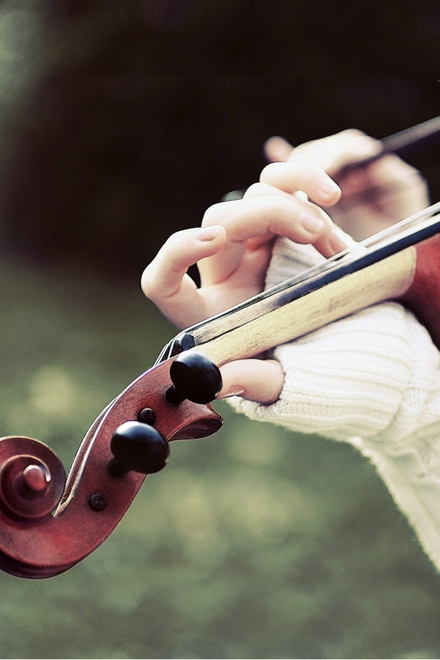 优雅的红色小提琴高清iPhone 4s壁纸下载