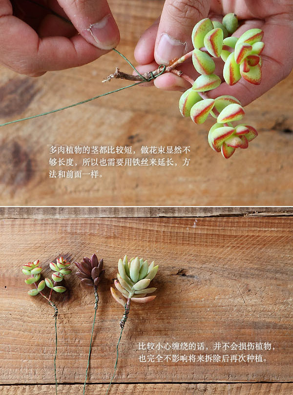手工DIY多肉植物时尚花束的制作教程图片
