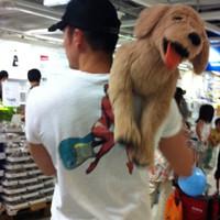 QQ头像抱着可爱狗狗