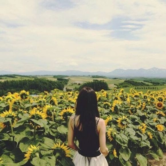 QQ文艺小清新美女头像唯美清新女生头像图片