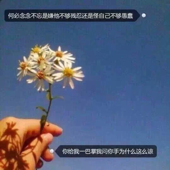 女生头像QQ头像唯美个性伤感带字