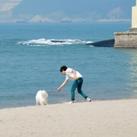 面朝大海 春暖花开