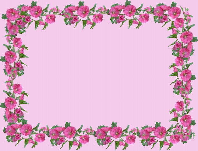 花朵边框粉色背景图片 素彩图片大全