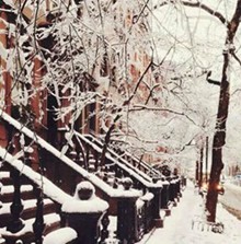  雪景喜欢吗唯美风景图片