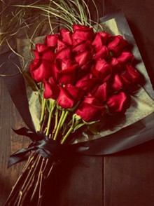  钟爱红玫瑰唯美花朵图片大全