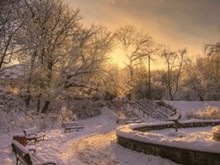  雪后的美景唯美雪景图片