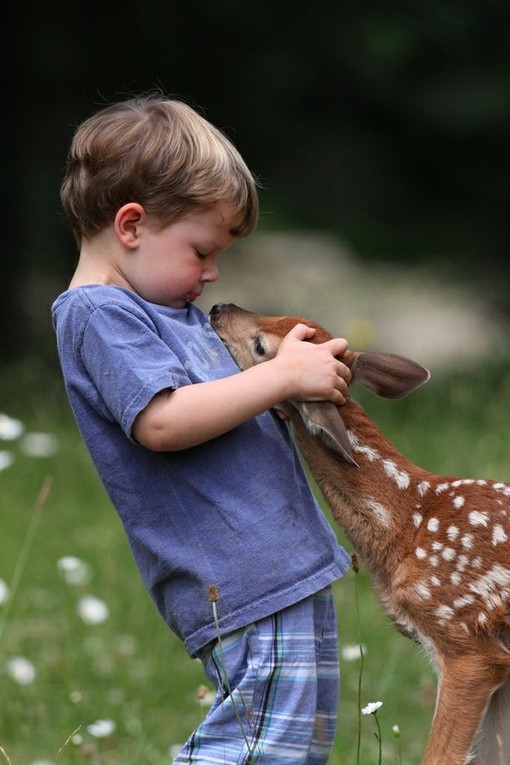 宝宝与动物相处可爱温馨唯美画面图片