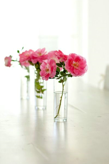  唯美小清新花卉与玻璃花瓶