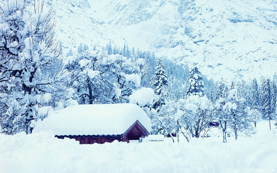  唯美冬日森林雪景图片