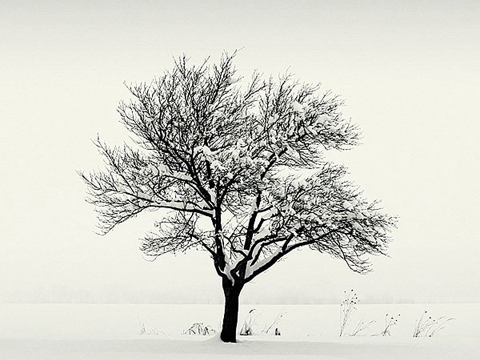 唯美雪景图片