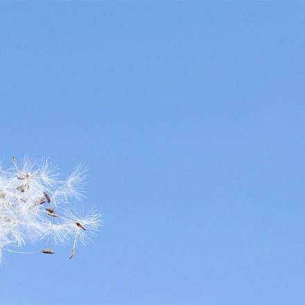 天空：我的天空刮起了风