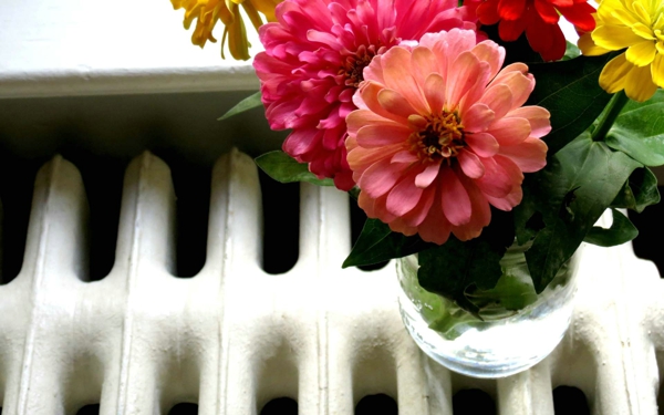 阳台花卉盆栽图片