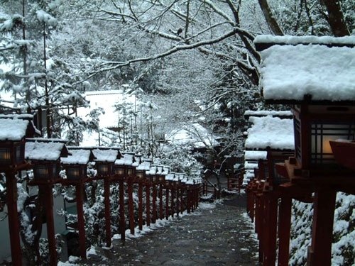 唯美乡间小道风景图片