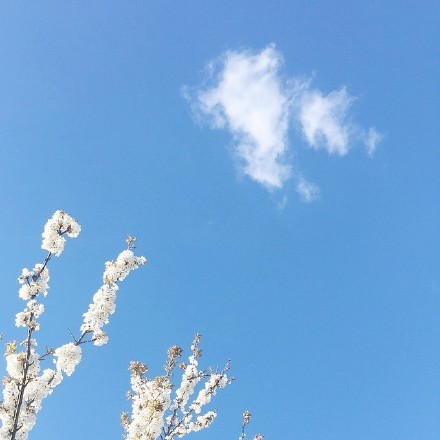 天空：我的天空刮起了风