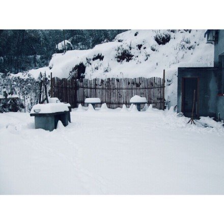 唯美意境雪景图片