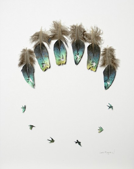 羽毛的艺术：羽毛之美，美的轻盈