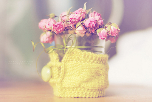 鲜嫩的小花朵带给你清新的感受