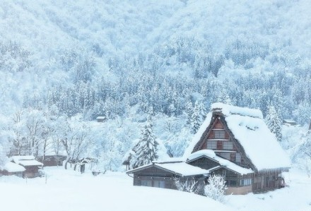 初冬你期待雪了吗？图片