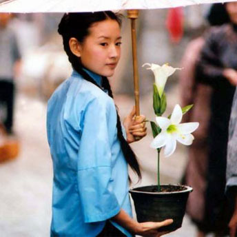 人生若只如初见图片