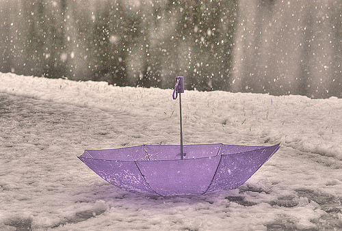 最浪漫的紫色唯美图片~~图片