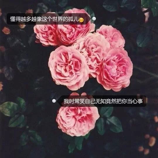 唯美带字伤感个性空间素材唯美图片