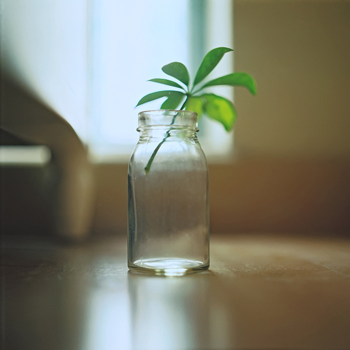 瓶子的流浪日记