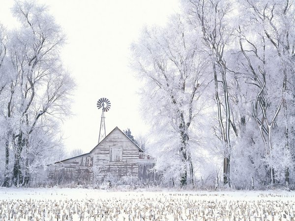 那个说会陪你看雪的人现在在哪唯美雪景图片