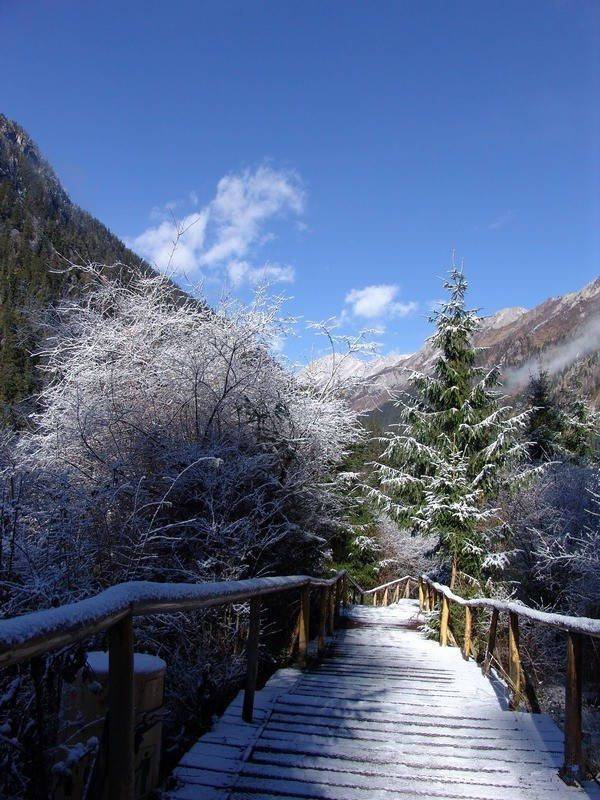 美到爆的雪后九寨沟唯美风景图片