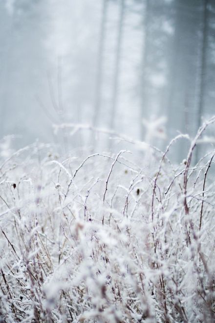 约你陪我一起去看雪唯美雪景图片大全