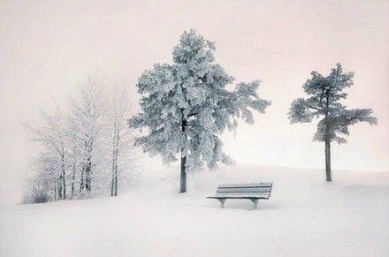 期待一场大雪,埋藏这个秋天我所有的记忆