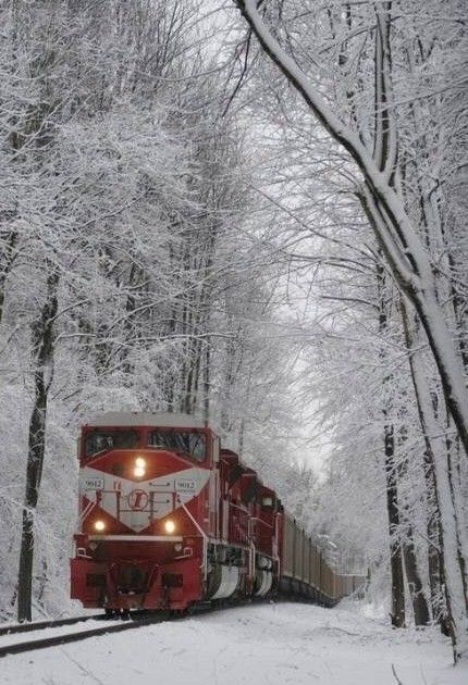 2015北方看雪