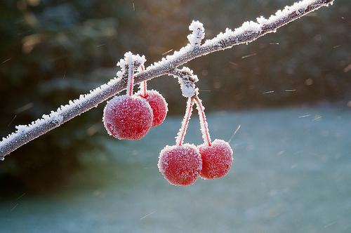 HI，你那里下雪了吗