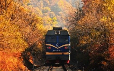 在秋天坐上去往远方的绿皮火车