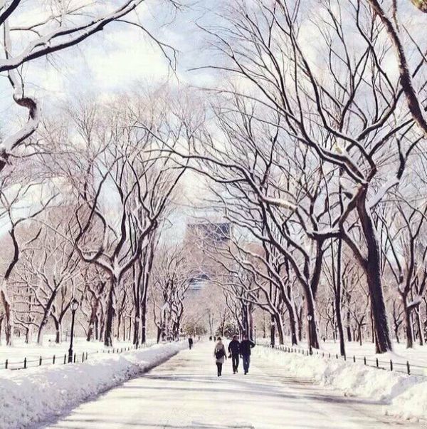 雪景喜欢吗唯美风景图片