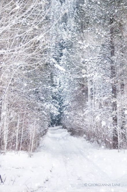 約你陪我一起去看雪唯美雪景圖片大全