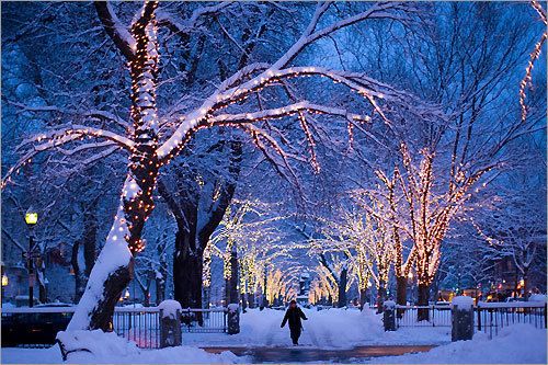 雪后的美景唯美雪景图片