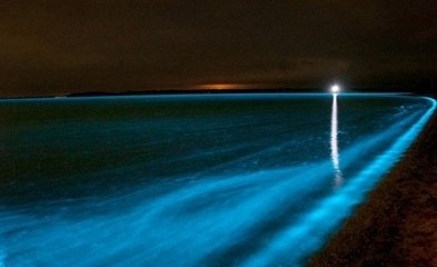 荧光海滩唯美风景图片