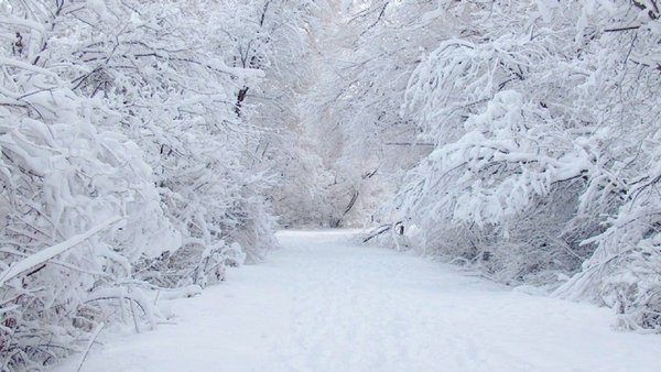 那个说会陪你看雪的人现在在哪唯美雪景图片