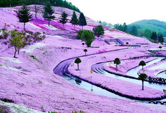 北海道浪漫卡丁车场