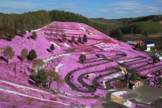 北海道浪漫卡丁车场