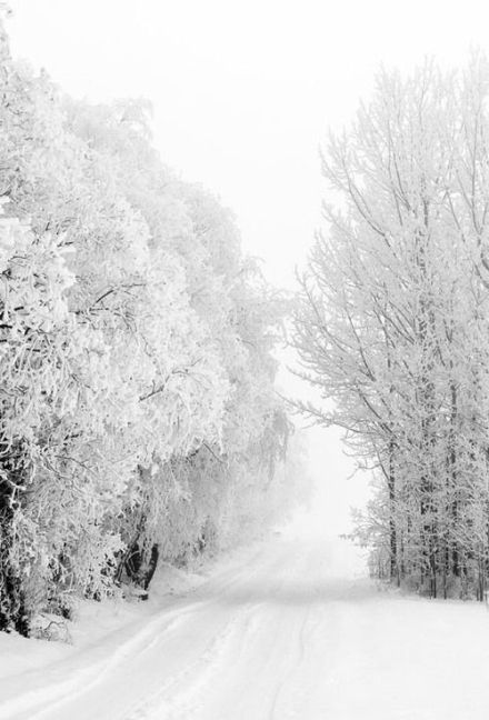 约你陪我一起去看雪唯美雪景图片大全