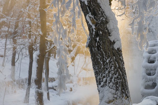 好美的下雪天唯美雪景图片