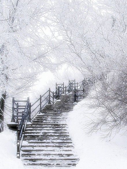 约你陪我一起去看雪唯美雪景图片大全