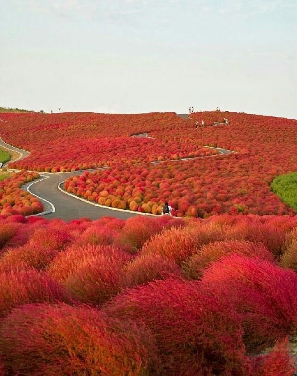 路途遥远我陪你走唯美风景图片